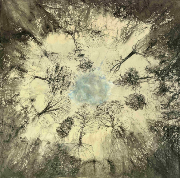 Los árboles de Burren_